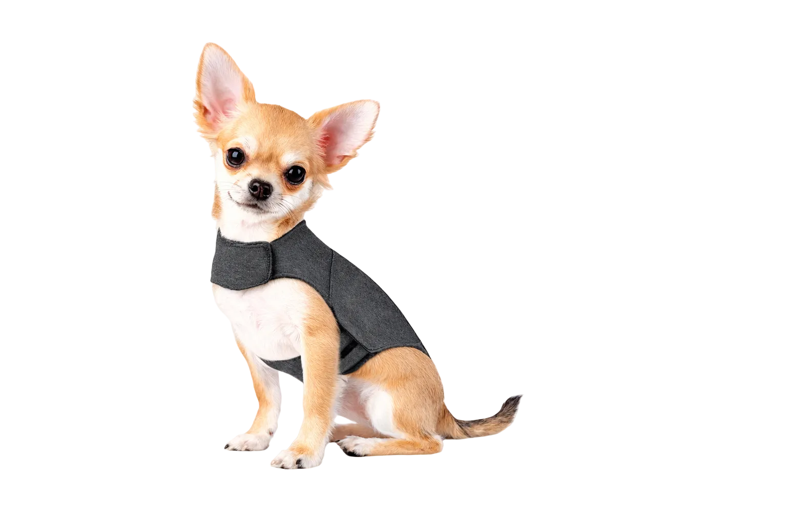 Sereno Pets Calming Compression Vest